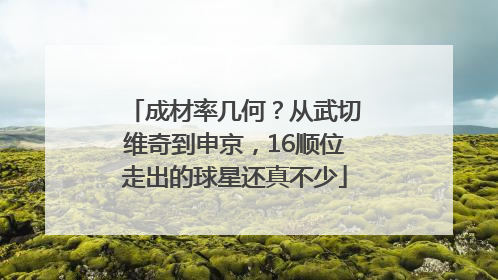 成材率几何？从武切维奇到申京，16顺位走出的球星还真不少