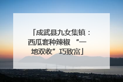成武县九女集镇：西瓜套种辣椒 “一地双收”巧致富