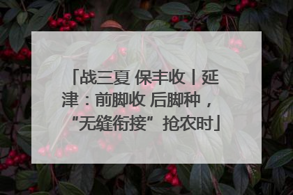 战三夏 保丰收丨延津：前脚收 后脚种，“无缝衔接”抢农时