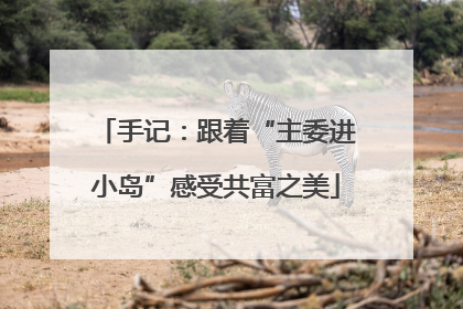 手记：跟着“主委进小岛”感受共富之美