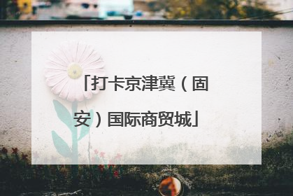 打卡京津冀（固安）国际商贸城