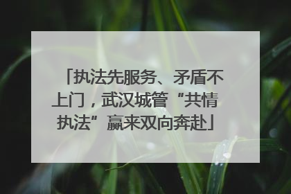 执法先服务、矛盾不上门，武汉城管“共情执法”赢来双向奔赴