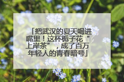 把武汉的夏天喝进嘴里！这杯栀子花“上岸茶”，成了百万年轻人的青春暗号