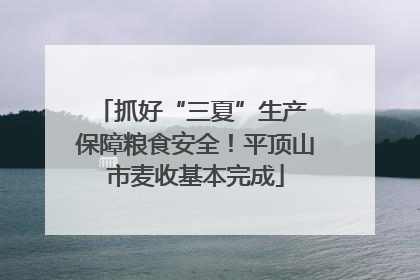 抓好“三夏”生产 保障粮食安全！平顶山市麦收基本完成
