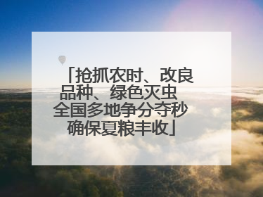 抢抓农时、改良品种、绿色灭虫 全国多地争分夺秒确保夏粮丰收