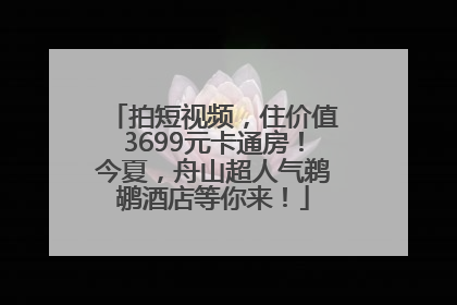 拍短视频，住价值3699元卡通房！今夏，舟山超人气鹈鹕酒店等你来！