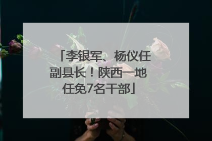 李银军、杨仪任副县长！陕西一地任免7名干部