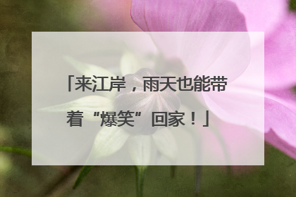 来江岸，雨天也能带着“爆笑”回家！