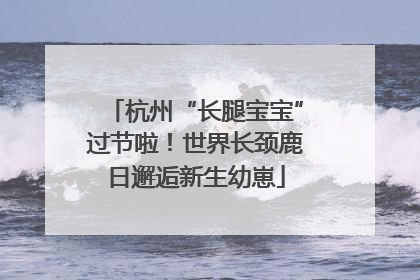 杭州“长腿宝宝”过节啦！世界长颈鹿日邂逅新生幼崽