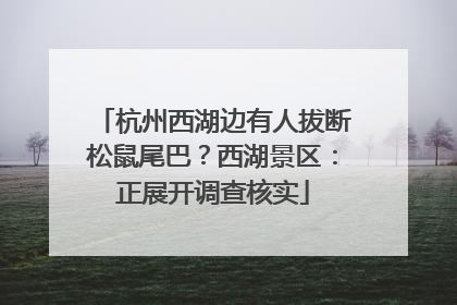 杭州西湖边有人拔断松鼠尾巴？西湖景区：正展开调查核实