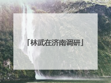 林武在济南调研