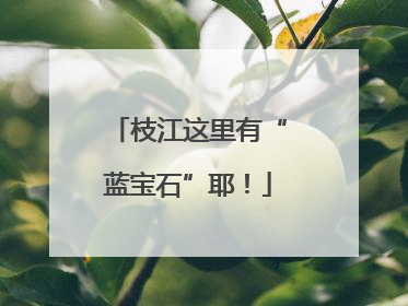 枝江这里有“蓝宝石”耶！