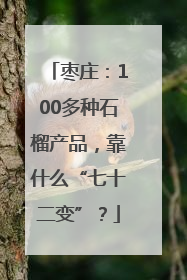 枣庄：100多种石榴产品，靠什么“七十二变”？