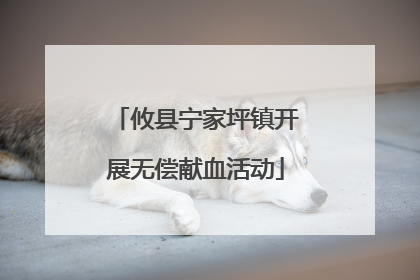 攸县宁家坪镇开展无偿献血活动