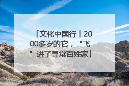 文化中国行丨2000多岁的它，“飞”进了寻常百姓家