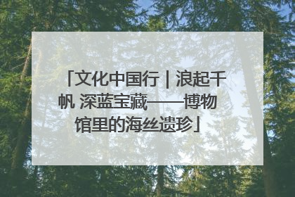 文化中国行｜浪起千帆 深蓝宝藏——博物馆里的海丝遗珍