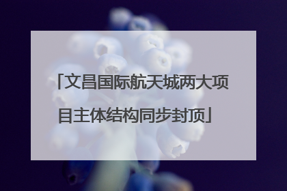 文昌国际航天城两大项目主体结构同步封顶
