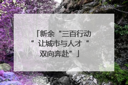 新余“三百行动”让城市与人才“双向奔赴”