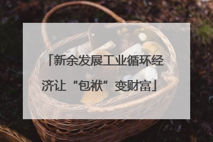 新余发展工业循环经济让“包袱”变财富
