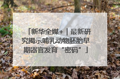 新华全媒+｜最新研究揭示哺乳动物胚胎早期器官发育“密码”