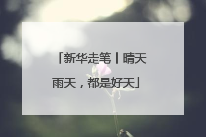 新华走笔丨晴天雨天，都是好天