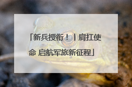 新兵授衔！丨肩扛使命 启航军旅新征程