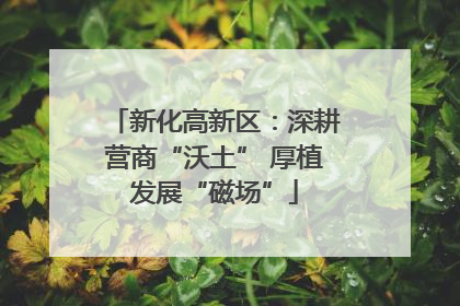新化高新区：深耕营商“沃土” 厚植发展“磁场”