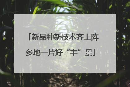 新品种新技术齐上阵 多地一片好“丰”景