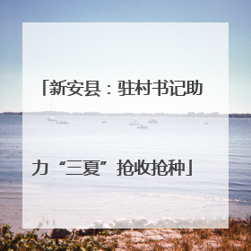 新安县：驻村书记助力“三夏”抢收抢种