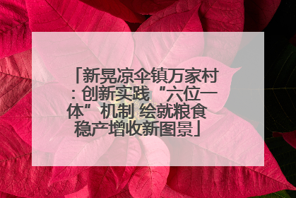 新晃凉伞镇万家村：创新实践“六位一体”机制 绘就粮食稳产增收新图景