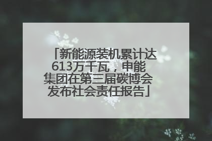 新能源装机累计达613万千瓦，申能集团在第三届碳博会发布社会责任报告