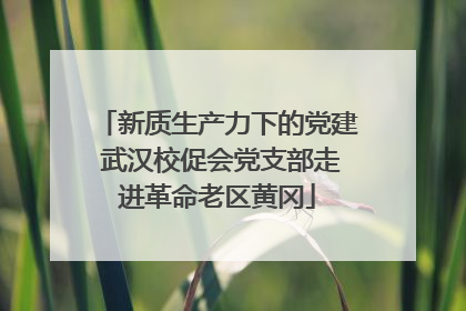 新质生产力下的党建 武汉校促会党支部走进革命老区黄冈