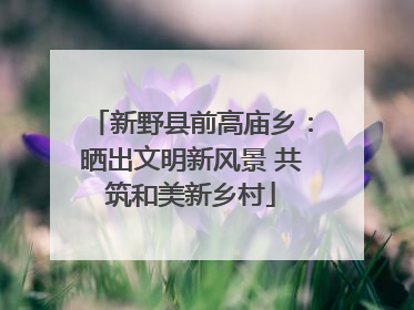 新野县前高庙乡：晒出文明新风景 共筑和美新乡村