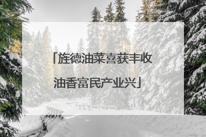 旌德油菜喜获丰收 油香富民产业兴