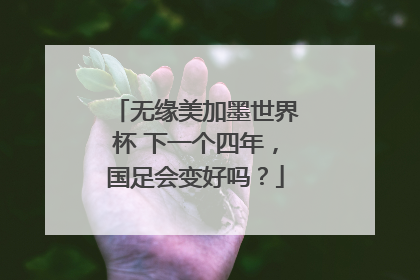 无缘美加墨世界杯 下一个四年，国足会变好吗？