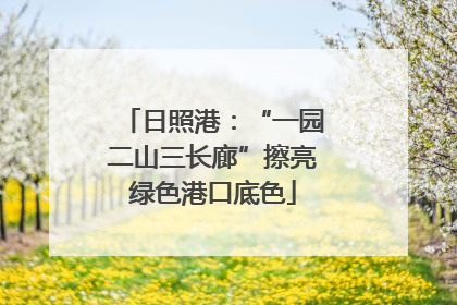 日照港：“一园二山三长廊”擦亮绿色港口底色