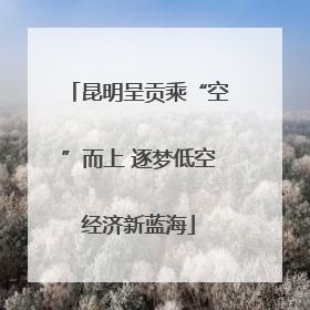 昆明呈贡乘“空”而上 逐梦低空经济新蓝海