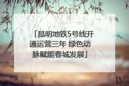 昆明地铁5号线开通运营三年 绿色动脉赋能春城发展