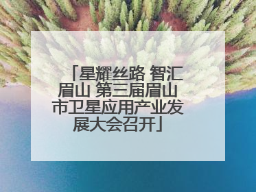 星耀丝路 智汇眉山 第三届眉山市卫星应用产业发展大会召开