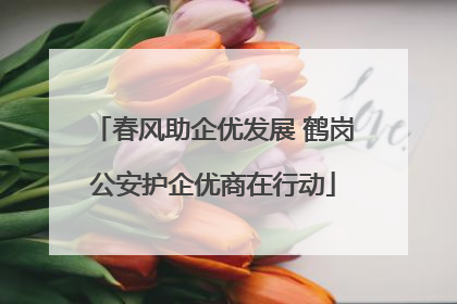 春风助企优发展 鹤岗公安护企优商在行动