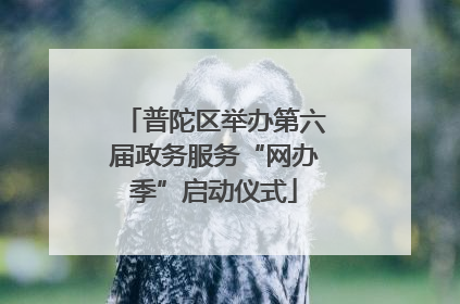 普陀区举办第六届政务服务“网办季”启动仪式