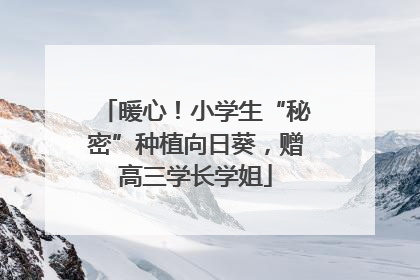 暖心！小学生“秘密”种植向日葵，赠高三学长学姐