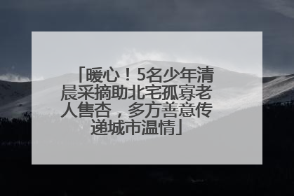 暖心！5名少年清晨采摘助北宅孤寡老人售杏，多方善意传递城市温情