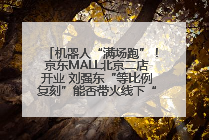 机器人“满场跑”！京东MALL北京二店开业 刘强东“等比例复刻”能否带火线下“618”？