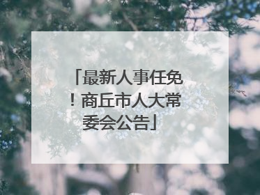 最新人事任免！商丘市人大常委会公告