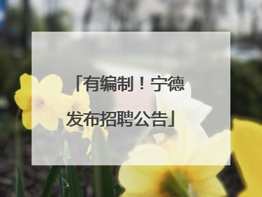 有编制！宁德发布招聘公告