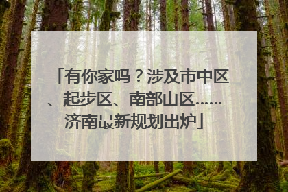 有你家吗？涉及市中区、起步区、南部山区……济南最新规划出炉