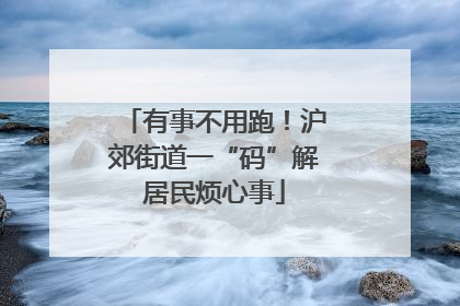 有事不用跑！沪郊街道一“码”解居民烦心事