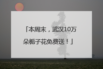 本周末，武汉10万朵栀子花免费送！