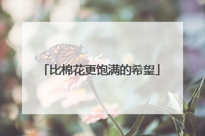 比棉花更饱满的希望